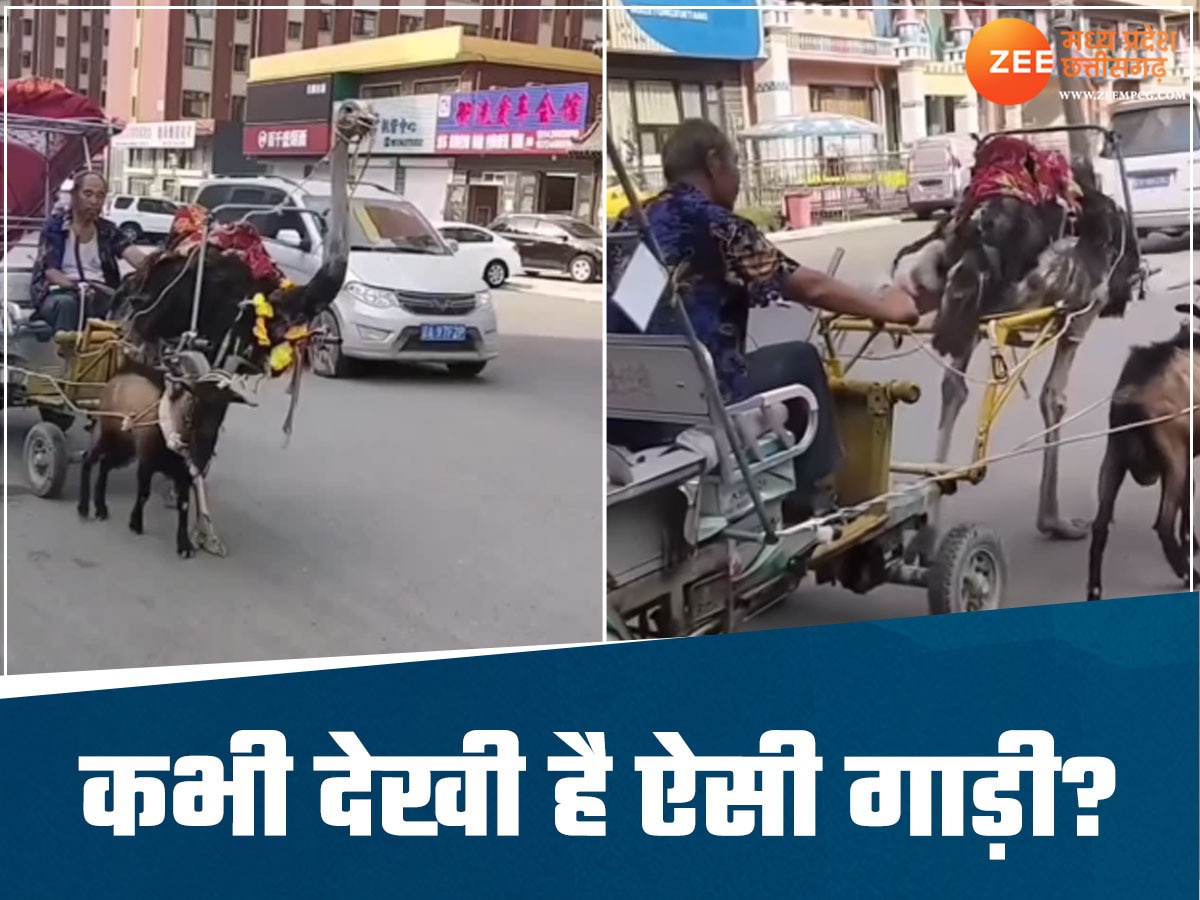 Viral Video: इस जुगाड़ गाड़ी को देख सटक जाएगा आपका भी भेजा, इंटरनेट पर जमकर बटोर रहा सुर्खियां