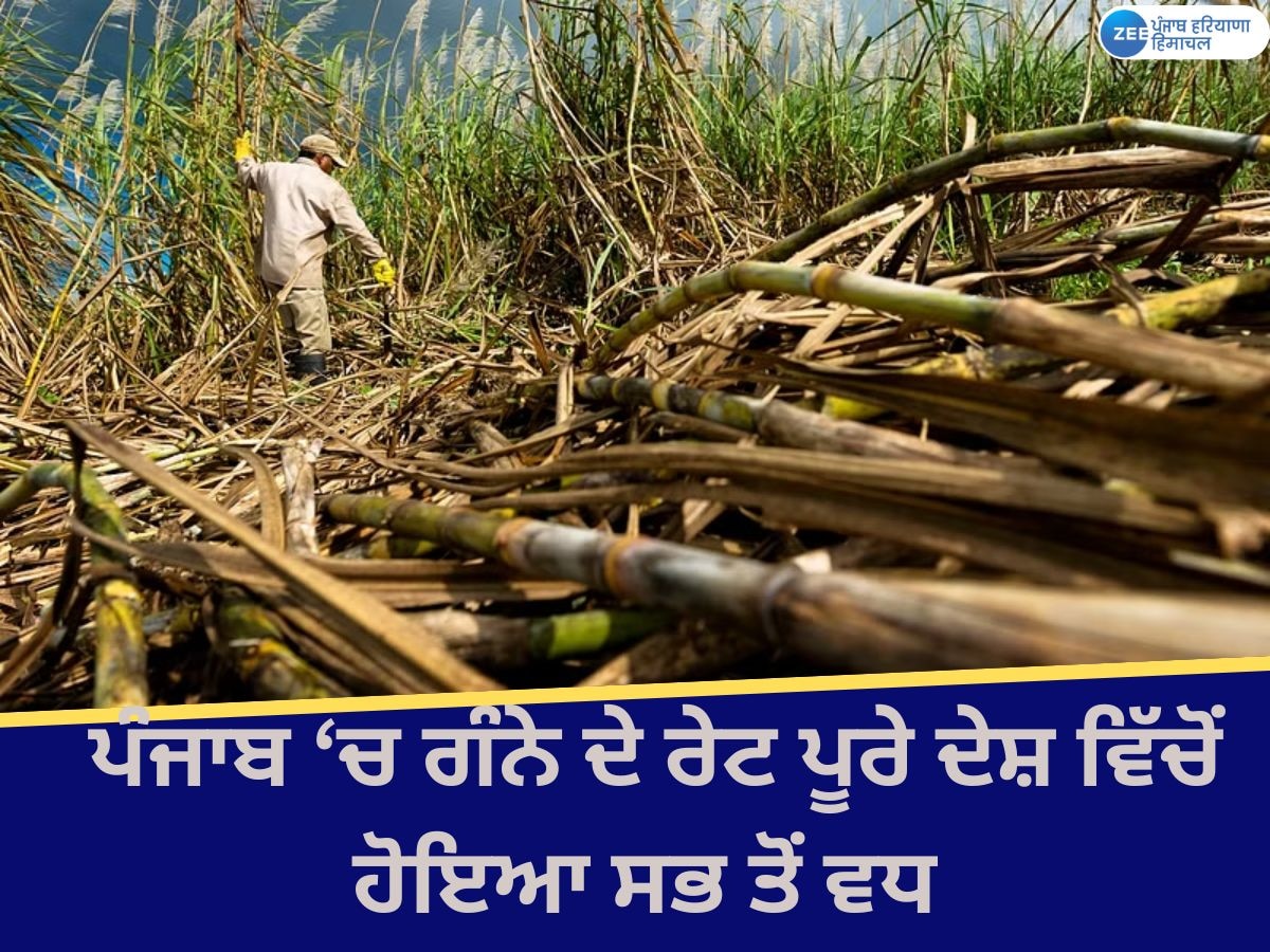 Sugarcane Price Increases: ਪੰਜਾਬ ਸਰਕਾਰ ਨੇ ਗੰਨੇ ਦੇ ਰੇਟ 'ਚ 10 ਰੁਪਏ ਕੀਤਾ ਵਾਧਾ; ਜਾਣੋ ਹੁਣ ਕਿੰਨਾ ਹੋਇਆ ਰੇਟ