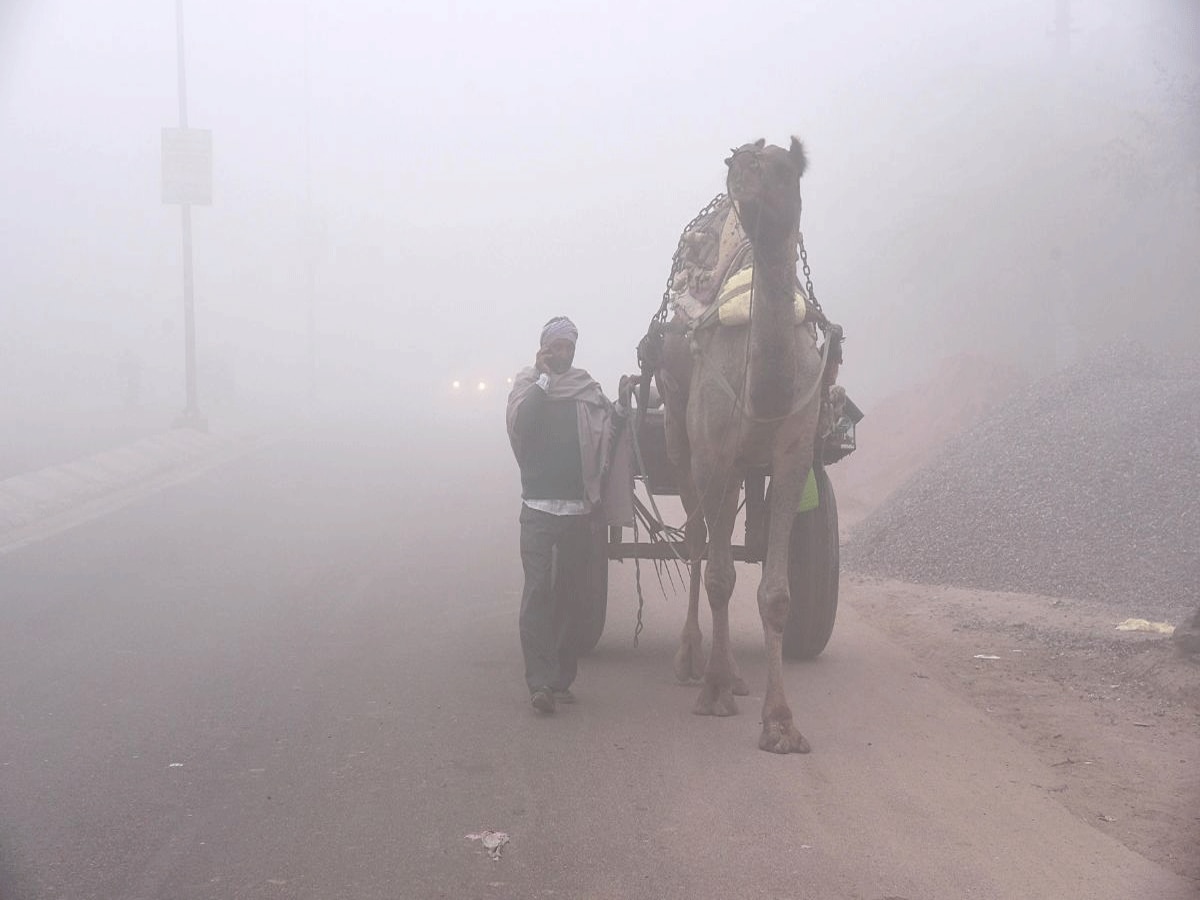 Rajasthan weather update 