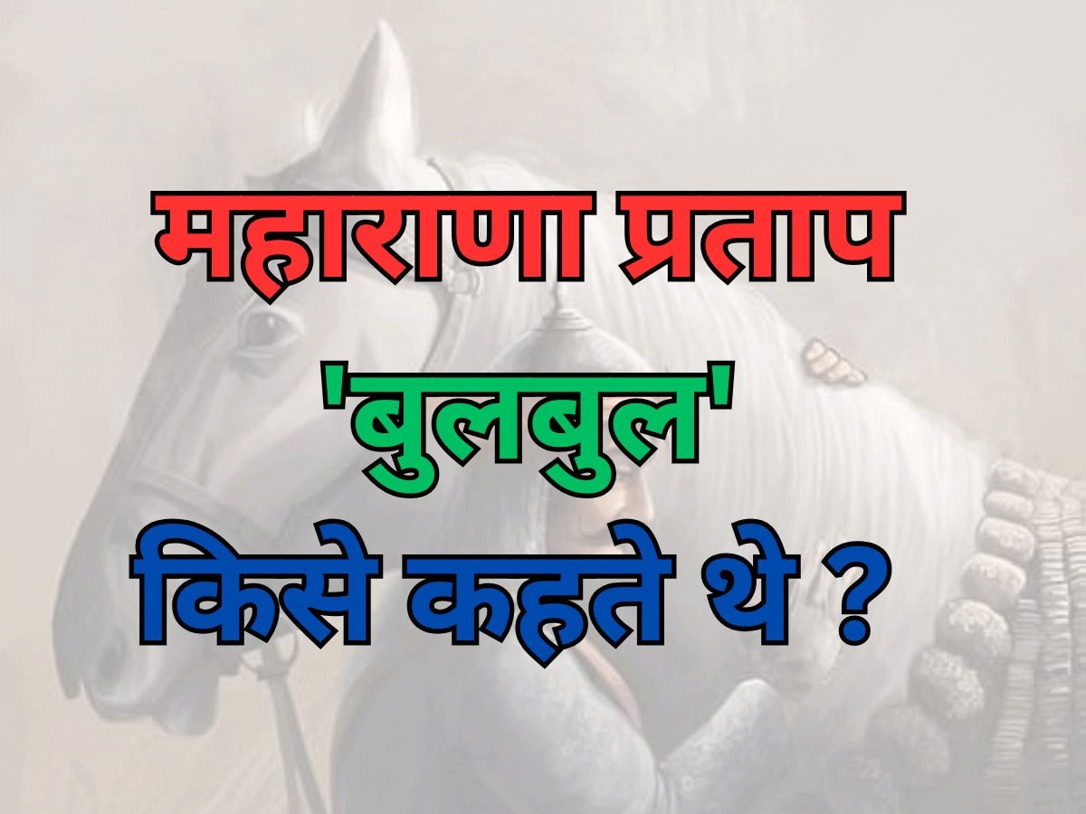 Trending Quiz general knowledge questions Whom did Maharana Pratap call  Bulbul 