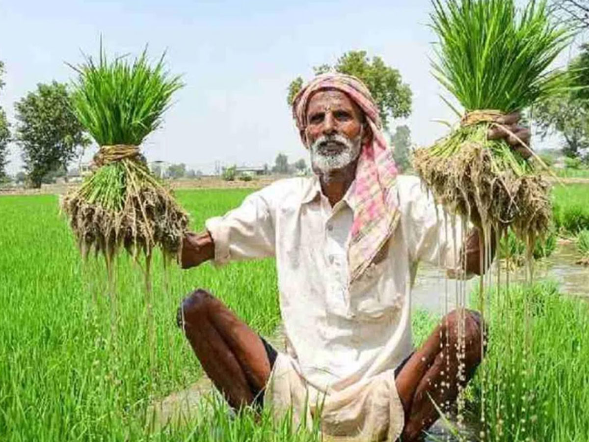 किसानों के लिए नई संभावनाएं