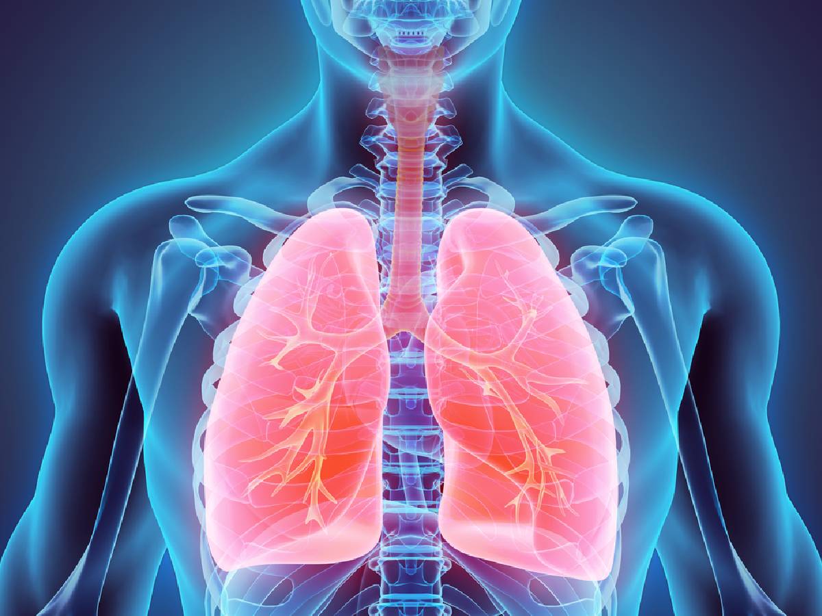 फेफड़ों में फंसा बलगम होगा साफ, बस पी लें ये जूस और पानी से करें ये काम