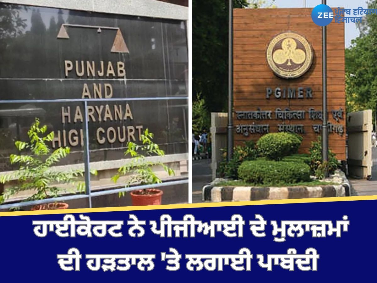 PGI Protest News: ਹਾਈਕੋਰਟ ਨੇ ਪੀਜੀਆਈ ਦੇ ਮੁਲਾਜ਼ਮਾਂ ਦੀ ਹੜਤਾਲ 'ਤੇ ਲਗਾਈ ਪਾਬੰਦੀ