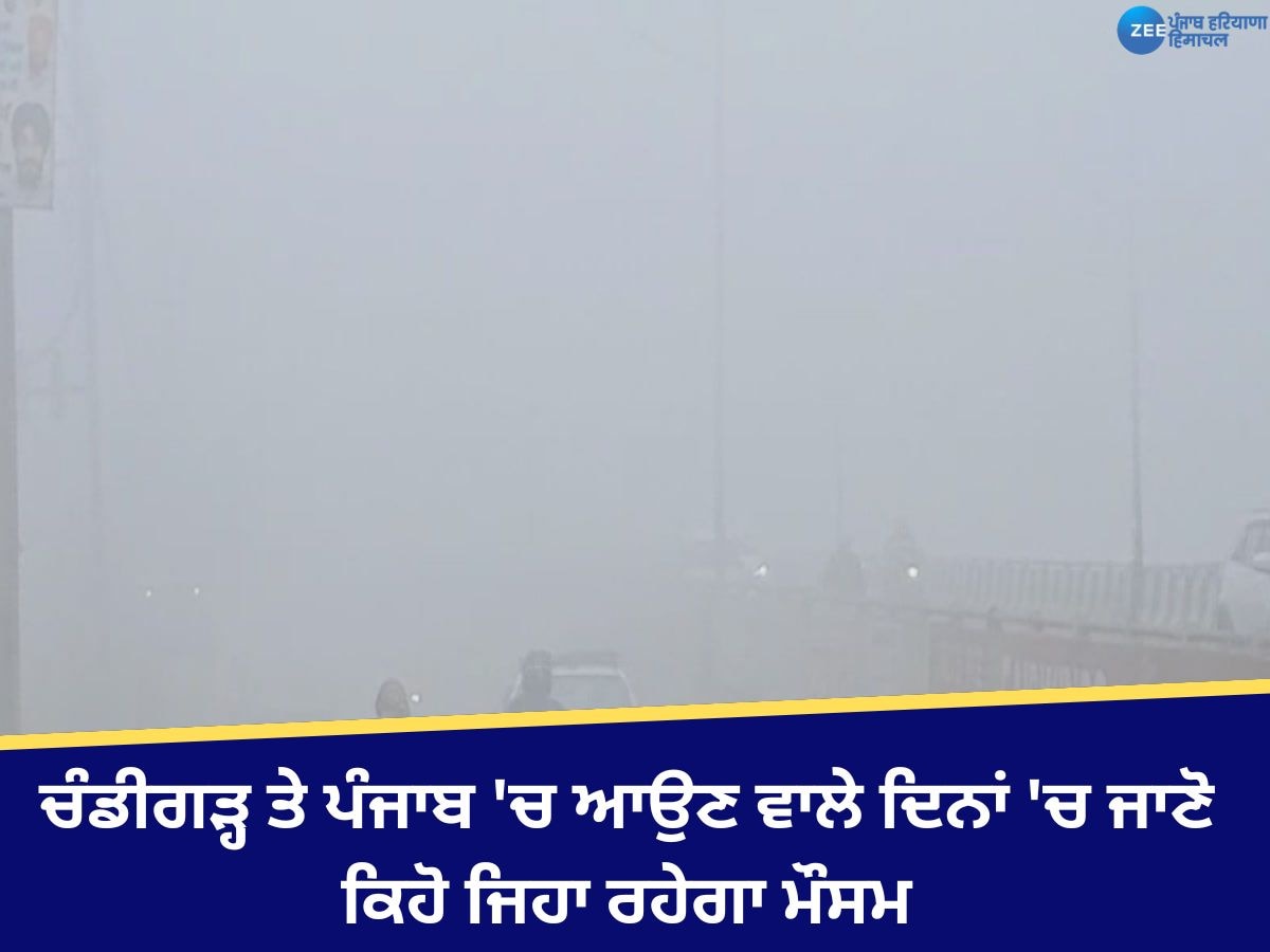 Punjab Weather Update: ਪੰਜਾਬ-ਚੰਡੀਗੜ੍ਹ 'ਚ ਧੁੰਦ ਦਾ ਯੈਲੋ ਅਲਰਟ, ਤਾਪਮਾਨ ਵਧਿਆ, ਜਾਣੋ ਆਪਣੇ ਸ਼ਹਿਰ ਦਾ ਹਾਲ