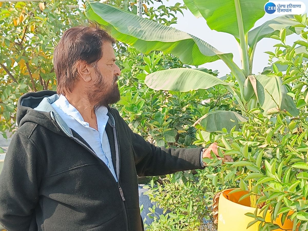  Organic Farming News: ਅਜਨਾਲਾ ਦਾ ਕਿਸਾਨ ਸੁਖਦੇਵ ਸਿੰਘ ਬਣਿਆ ਮਿਸਾਲ; ਘਰ ਦੀ ਤੀਜੀ ਮੰਜ਼ਿਲ 'ਤੇ ਕਰ ਰਿਹਾ ਔਰਗੈਨਿਕ ਖੇਤੀ