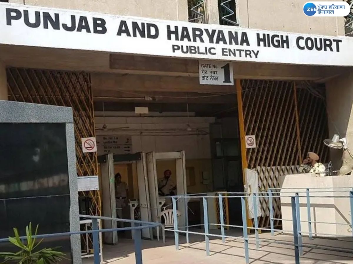 High Court: ਨਿਗਮ ਤੇ ਮਿਊਂਸੀਪਲ ਚੋਣਾਂ ਨੂੰ ਲੈ ਕੇ ਰਾਜ ਚੋਣ ਕਮਿਸ਼ਨ ਖਿਲਾਫ਼ ਹਾਈ ਕੋਰਟ 'ਚ ਪਾਈ ਪਟੀਸ਼ਨ