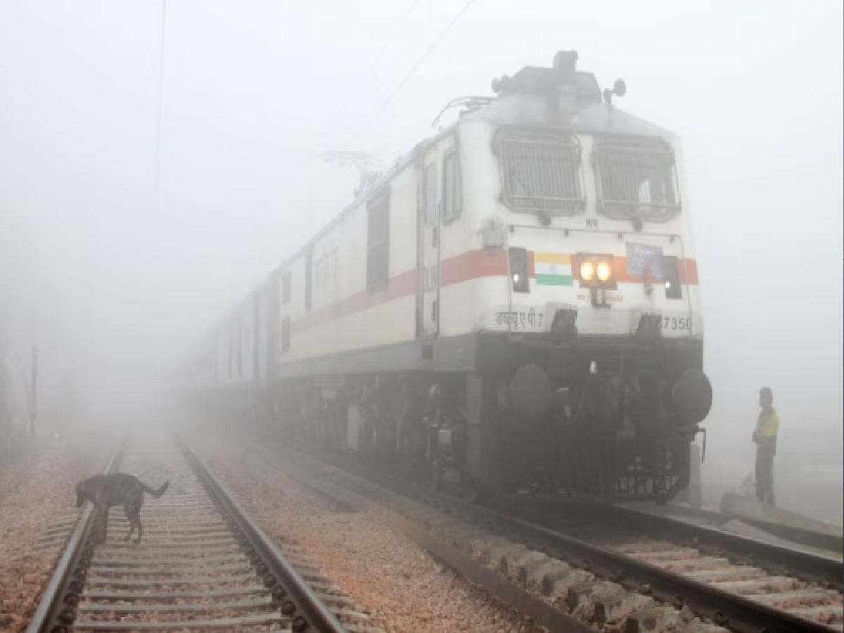 Trains Cancelled Due to Fog