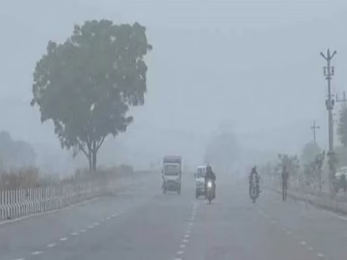 Rajasthan Weather Update: राजस्थान के कई जिलों में 3 डिग्री तक पहुंचा पारा, कोहरे में लिपटे दिखे शहर, मौसम विभाग ने जारी किया अलर्ट