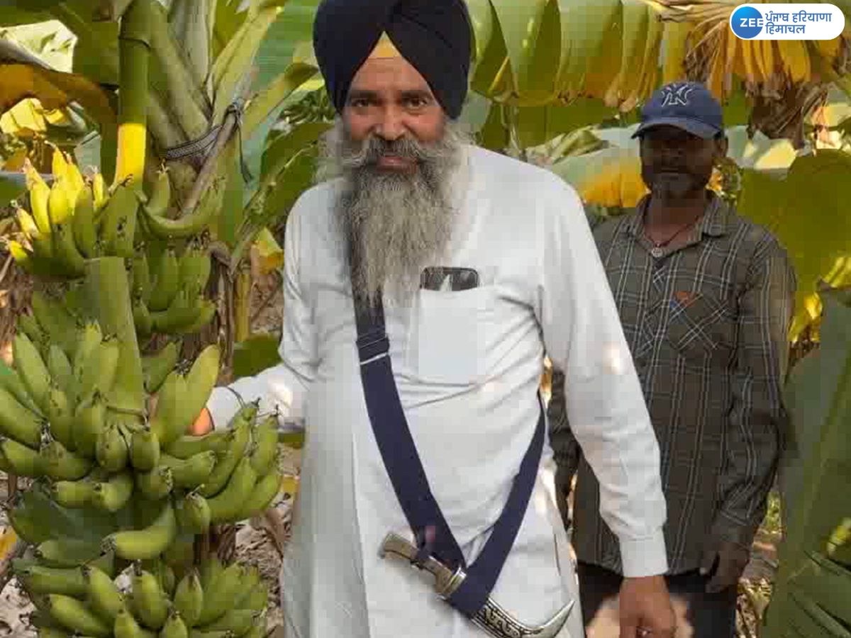 Agriculture News: ਗੁਰਦਾਸਪੁਰ ਦਾ ਕਿਸਾਨ ਤਿੰਨ ਏਕੜ ਜ਼ਮੀਨ 'ਚ ਕੇਲੇ ਦੀ ਖੇਤੀ ਨਾਲ ਕਮਾ ਰਿਹਾ ਲੱਖਾਂ ਰੁਪਏ