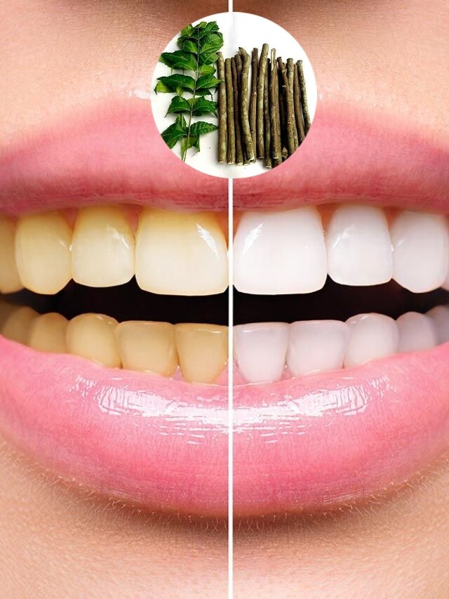 Ditor Tree Datun Benefits of neem tree datun to remove yellowness of teeth | दांतों के ...