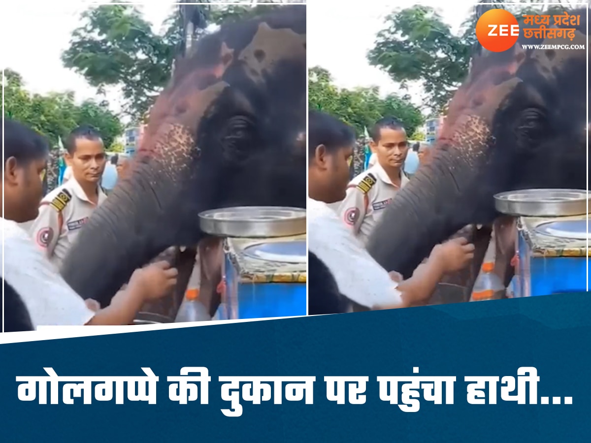 Shocking Video: ठेले पर गोलगप्पे खाने पहुंचा हाथी, जमकर लिया पानीपुरी का मजा; वीडियो देख नहीं होगा यकीन