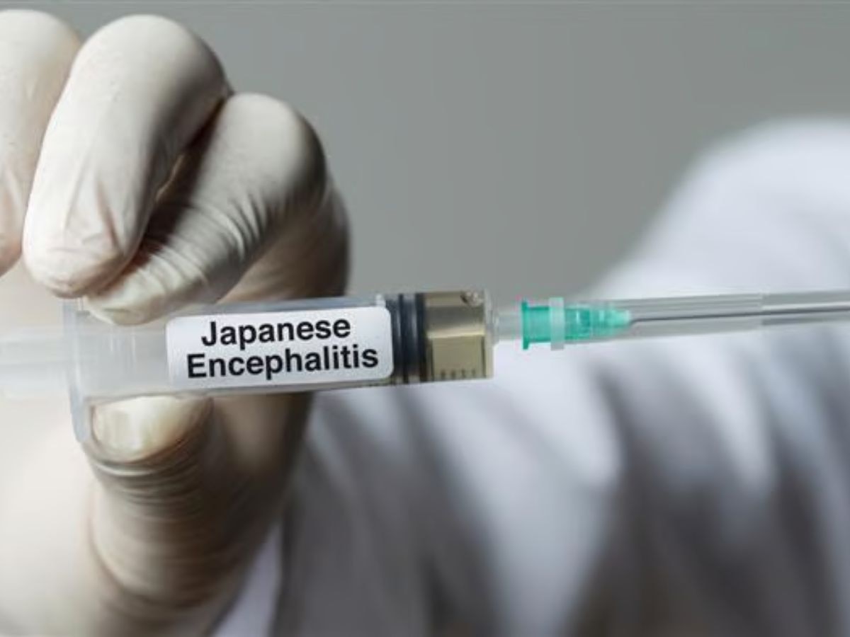 Japanese Encephalitis: दिल्ली में जानलेवा जापानी इंसेफेलाइटिस की इंट्री, जानिए इस बीमारी के बारे में सबकुछ