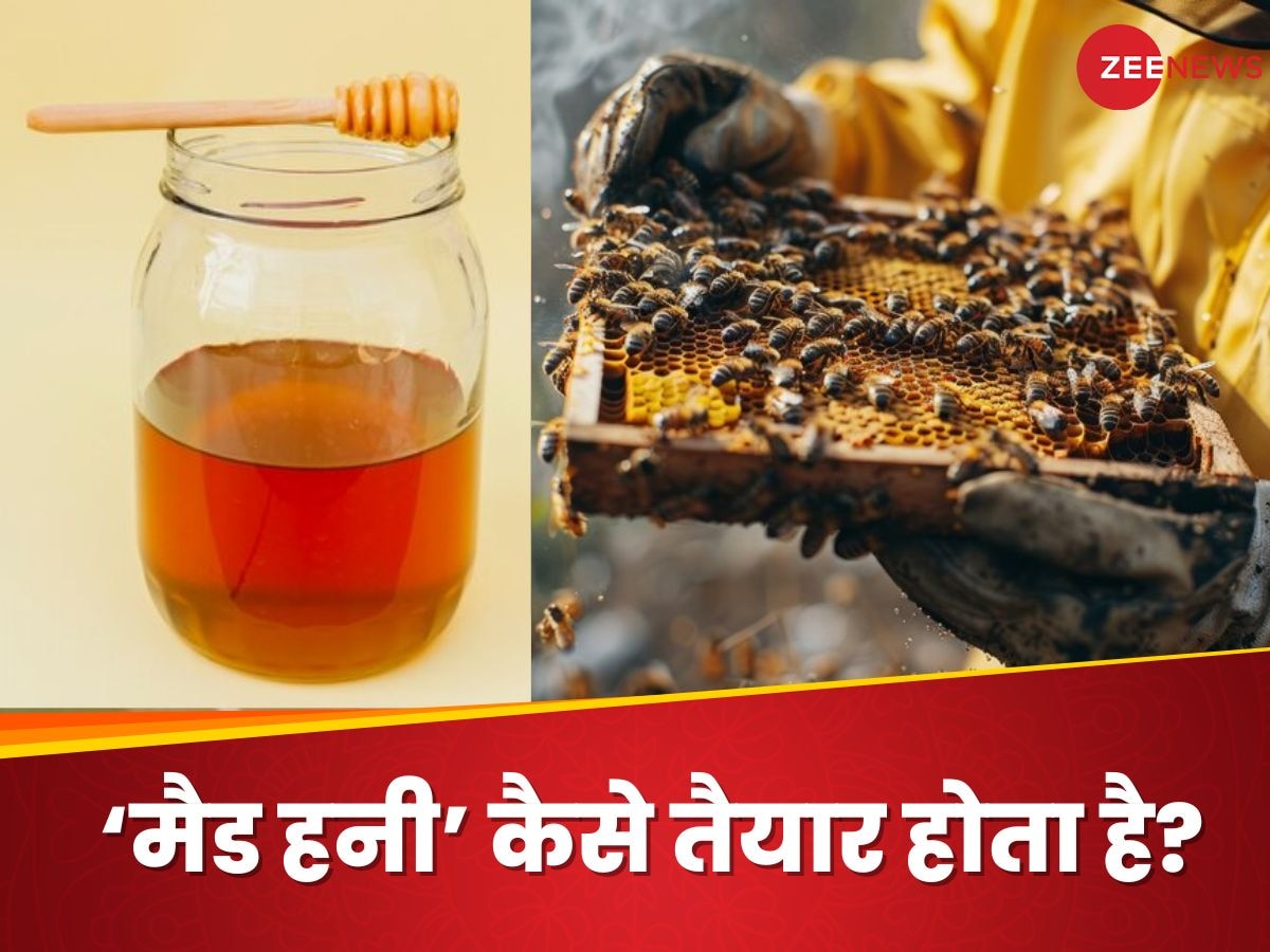 Mad Honey: दुनिया के सिर्फ 2 मुल्कों में मिलता है मैड हनी? सेहत के लिए कभी खजाना, तो कभी खतरा 