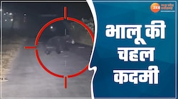 धमतरी में रिहायशी इलाके में भालू ने दी दस्तक; दहशत में लोग, वायरल हुआ Video 