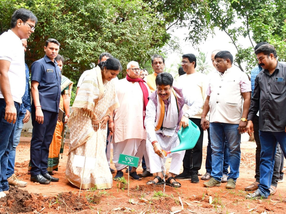 ଓଡ଼ିଶା ମେଡିକାଲ ସେଣ୍ଟର ତରଫରୁ ଔଷଧୀୟ ଚାରା ରୋପଣ କାର୍ଯ୍ୟକ୍ରମ ଆରମ୍ଭ