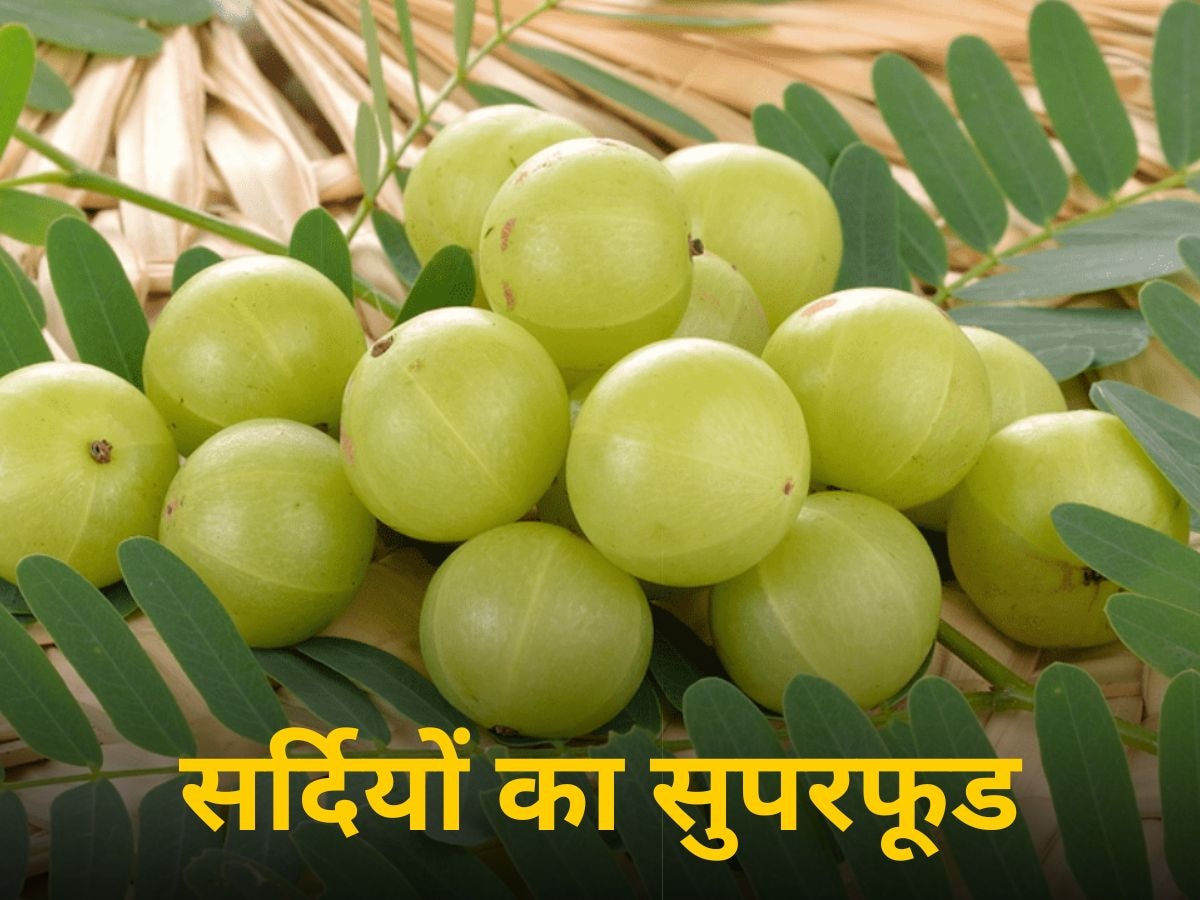 Amla Benefits: सर्दियों में सेहत का खजाना है आंवला, दिल से लेकर त्वचा की हर समस्या का कर देता है हल! जानें 4 बड़े फायदे