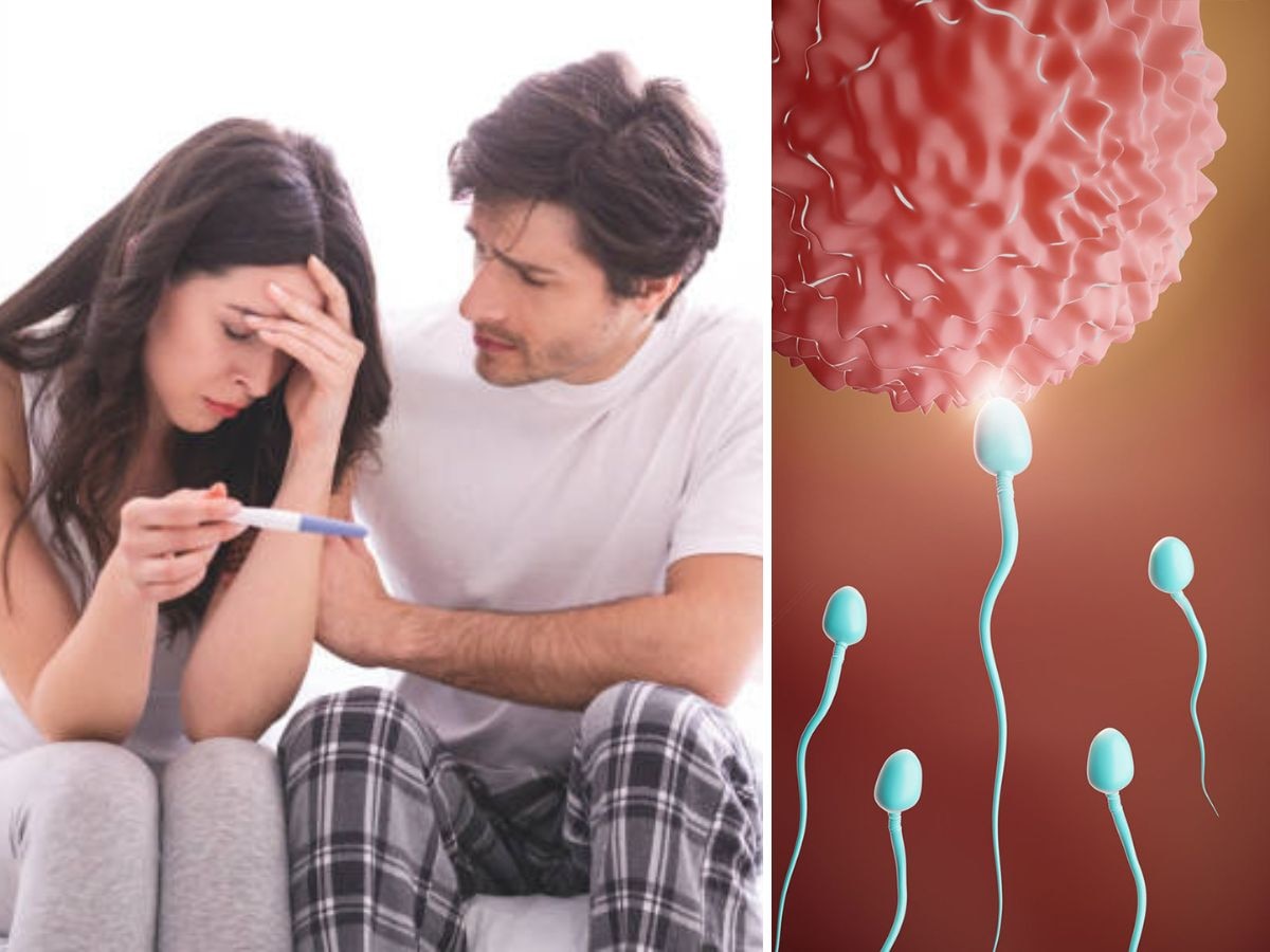 Low Sperm Count: किस बीमारी के कारण घट जाते हैं स्पर्म काउंट? कभी नहीं बन सकते पिता!