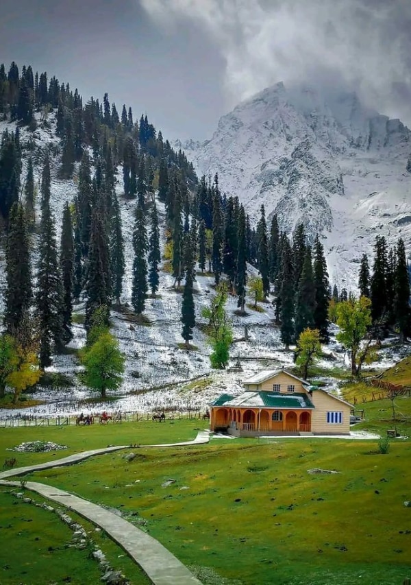 best 5 tourist places to visit in sonmarg jammu and Kashmir | टूरिस्टों को बार-बार सोनमर्ग आने को मजबूर कर देती हैं, ये 5 खूबसूरत जगहें