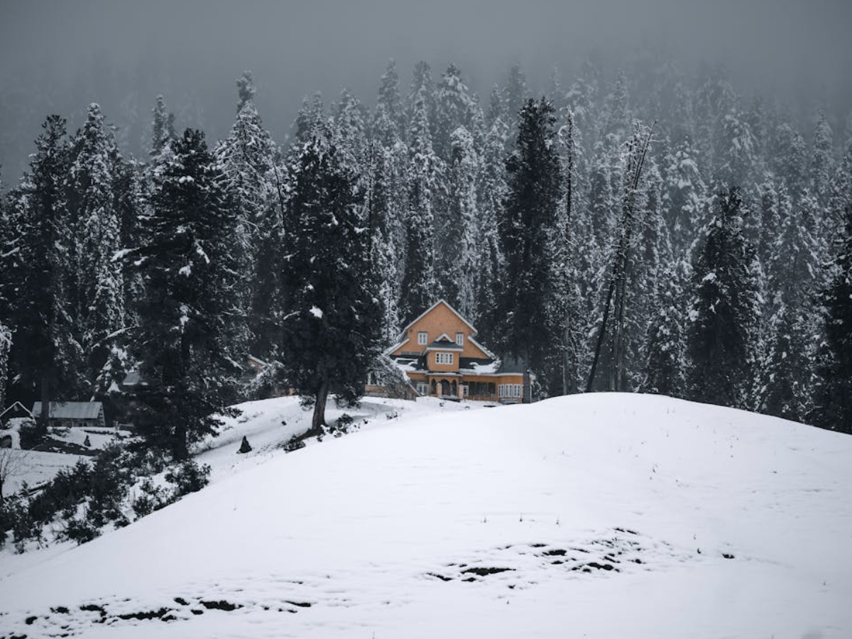 Weather Update: कश्मीर में बर्फबारी, तमिलनाडु में बारिश, दिल्ली में कब आएगी कड़ाके की ठंड?