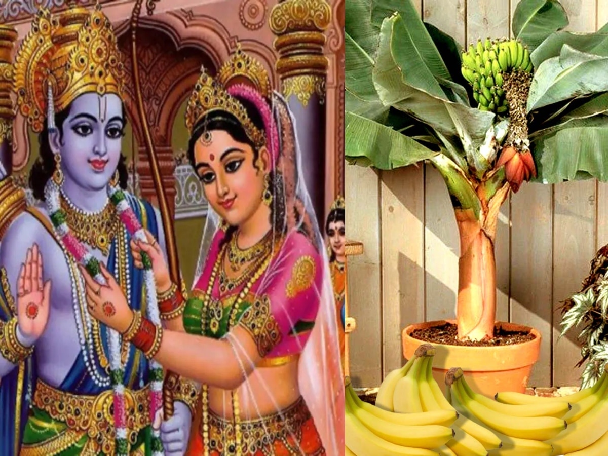 Vivah Panchami: शादी में आ रही है अड़चनें तो विवाह पंचमी के दिन करें ये काम, मिलेगा अनोखा फल