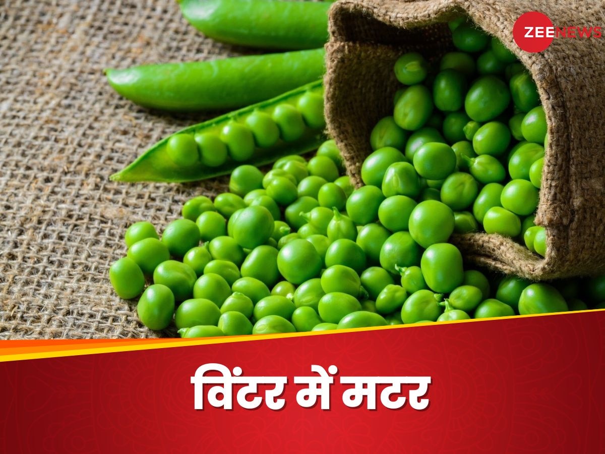 Green Peas: सर्दियों में जरूर खाएं प्रोटीन रिच ताजी हरी मटर, बेजान शरीर में फूंक देगी जान