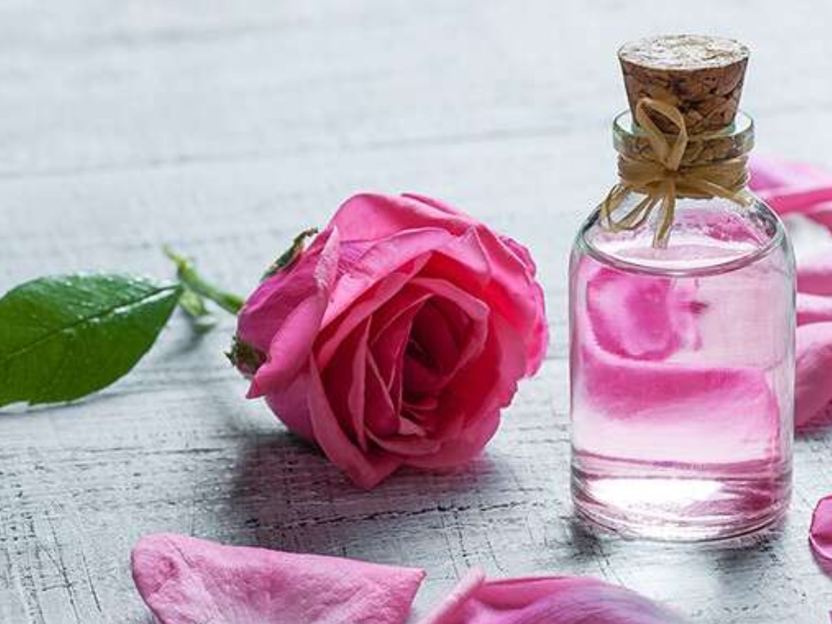 Rose Water Benefits: सर्दियों के मौसम में हर दिन चेहरे पर लगाएं गुलाब जल, जानें रोज़ वाटर के फाएदे