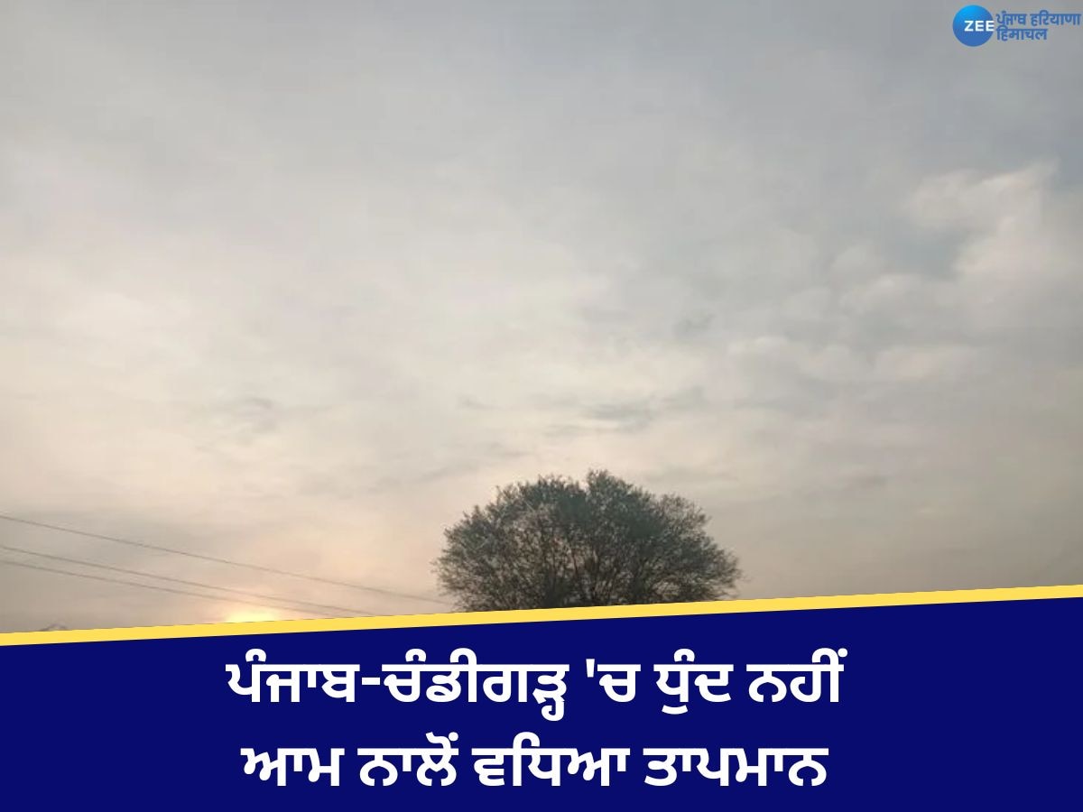 Punjab Weather Update: ਪੰਜਾਬ-ਚੰਡੀਗੜ੍ਹ 'ਚ ਧੁੰਦ ਦਾ ਕਹਿਰ ਘਟਿਆ, ਤਾਪਮਾਨ ਆਮ ਨਾਲੋਂ 2.9 ਡਿਗਰੀ ਵੱਧ