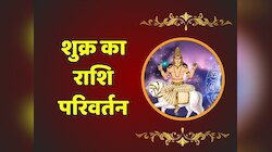 शुक्र का मकर राशि में गोचर, आज से महीनेभर चमकेगी इन 3 राशियों की किस्मत