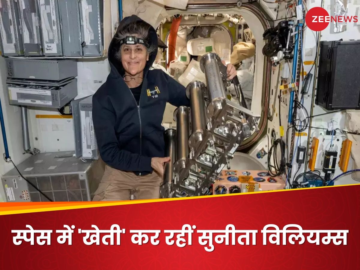 Sunita Williams: अंतरिक्ष में किसान बन गईं सुनीता विलियम्स! इंटरनेशनल स्पेस स्टेशन पर उगाए 'सलाद के पत्ते'