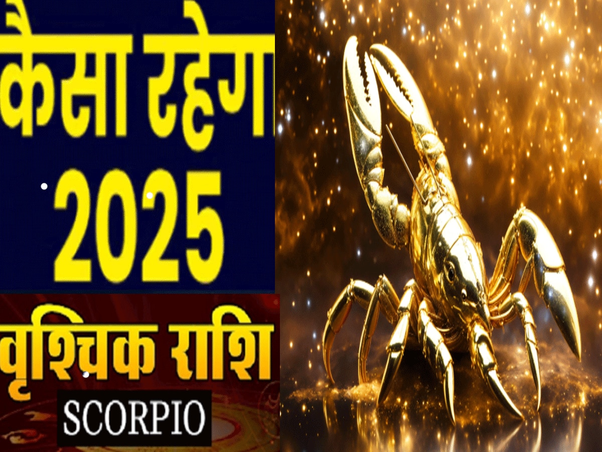 VRISHCHIK 2025 : साल 2025 वृश्चिक राशि वालों के लिए गोल्डन ईयर,  करियर-बिजनेस में गाड़ देंगे झंडे