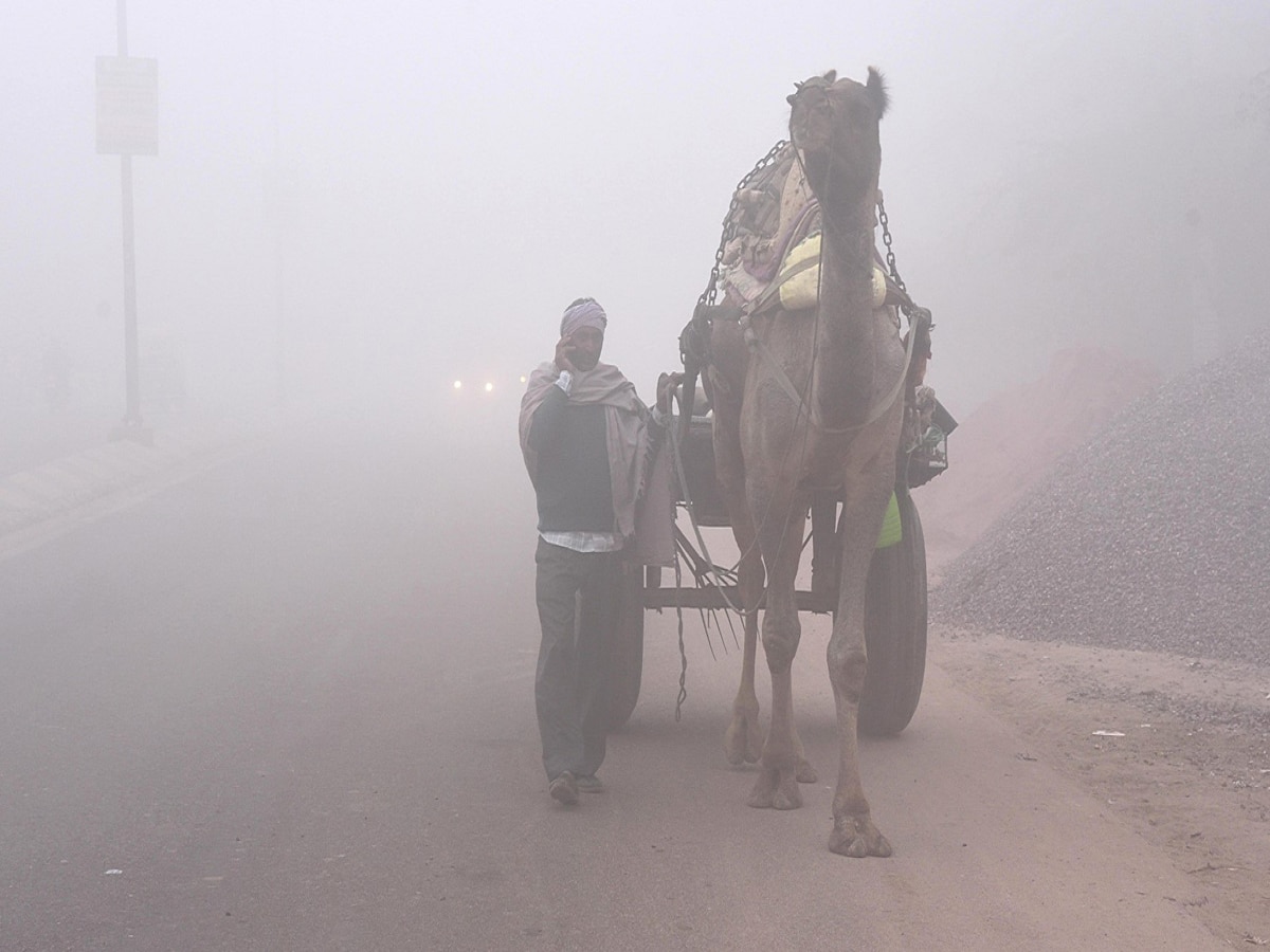 Rajasthan Weather Update 