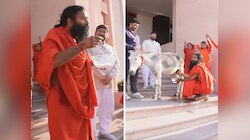 गाय-भैंस से ज्यादा ताकतवर है गधी का दूध, रामदेव ने पीकर बताया इसे 'जादुई टॉनिक',