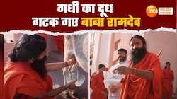 बाबा रामदेव ने निकाला गधी का दूध, फिर फायदे बताते हुए गटागट पीने लगे