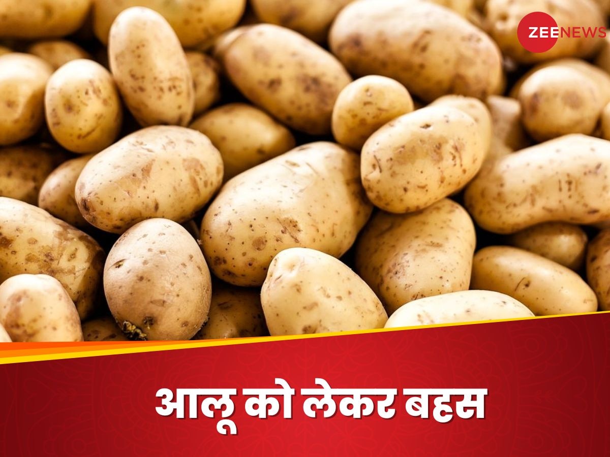 Potato Price Rise: आलू को लेकर दो राज्‍यों में घमासान, बढ़ गए 5-10 रुपये तक दाम?