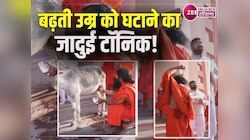 Donkey Milk Video: गाय-भैंस से ज्यादा फायदेमंद है गधी का दूध, बाबा रामदेव ने बताया