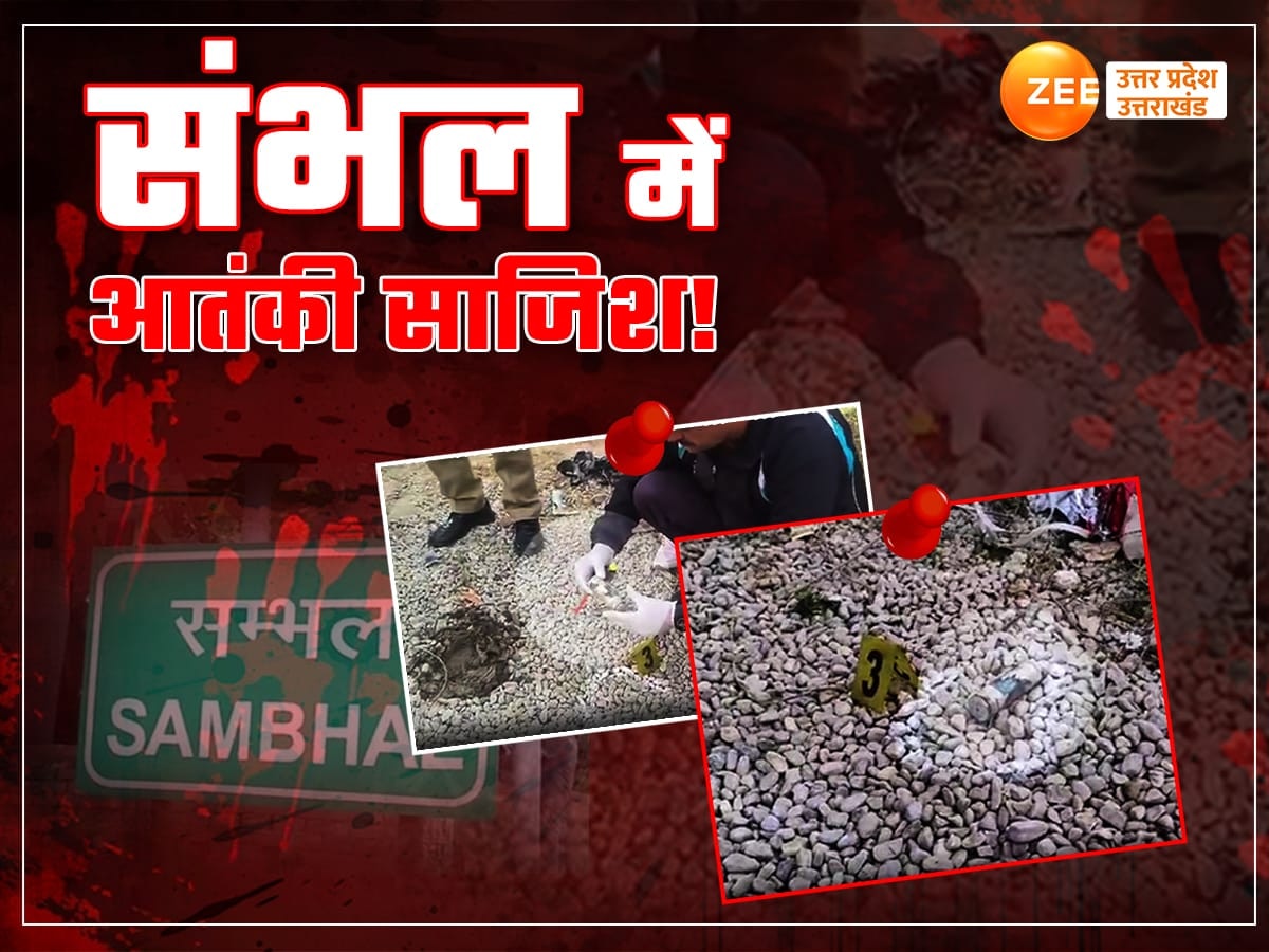 Sambhal News: क्या संभल हिंसा के पीछे आतंकी मॉड्यूल!, विदेशी कारतूस मिलने के बाद खुफिया एजेंसियां कर रहीं जांच