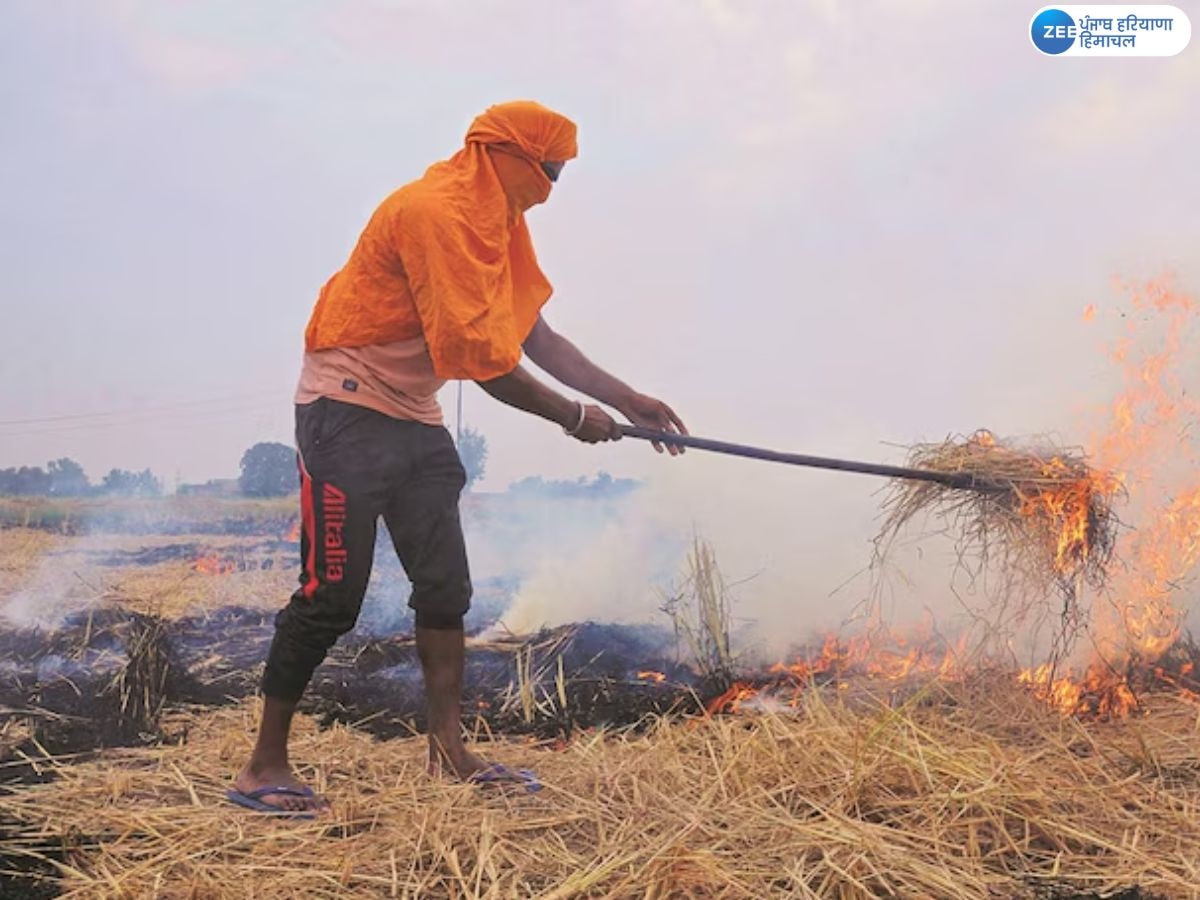 Delhi Pollution: ਪਰਾਲੀ ਸਾੜਨਾ ਤੇ ਵਾਹਨਾਂ ਦਾ ਧੂੰਆਂ ਦਿੱਲੀ 'ਚ ਪ੍ਰਦੂਸ਼ਣ ਦੇ ਵੱਡੇ ਕਾਰਨ-ਸੰਸਦੀ ਪੈਨਲ ਅਧਿਕਾਰੀ 