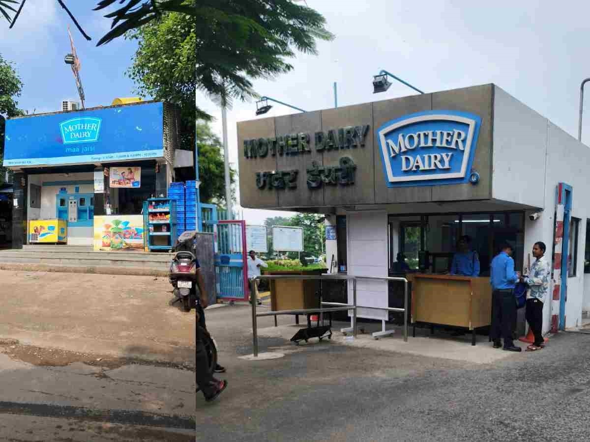 Mother Dairy: सिर्फ दूध-दही नहीं मदर डेयरी अब बेचेगा आटा और गुड़ भी, सालभर में आईक्रीम से कर ली 500 करोड़ की कमाई   