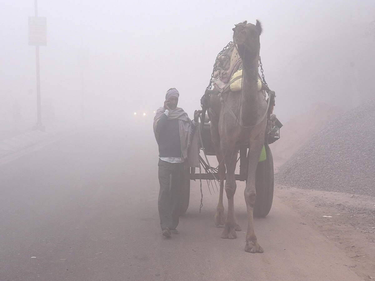 Rajasthan Weather Update: राजस्थान में सर्द हवाओं ने बढ़ाई कंपकंपी! 3.5 डिग्री तक लुढ़का पारा, जानें मौसम का ताजा हाल
