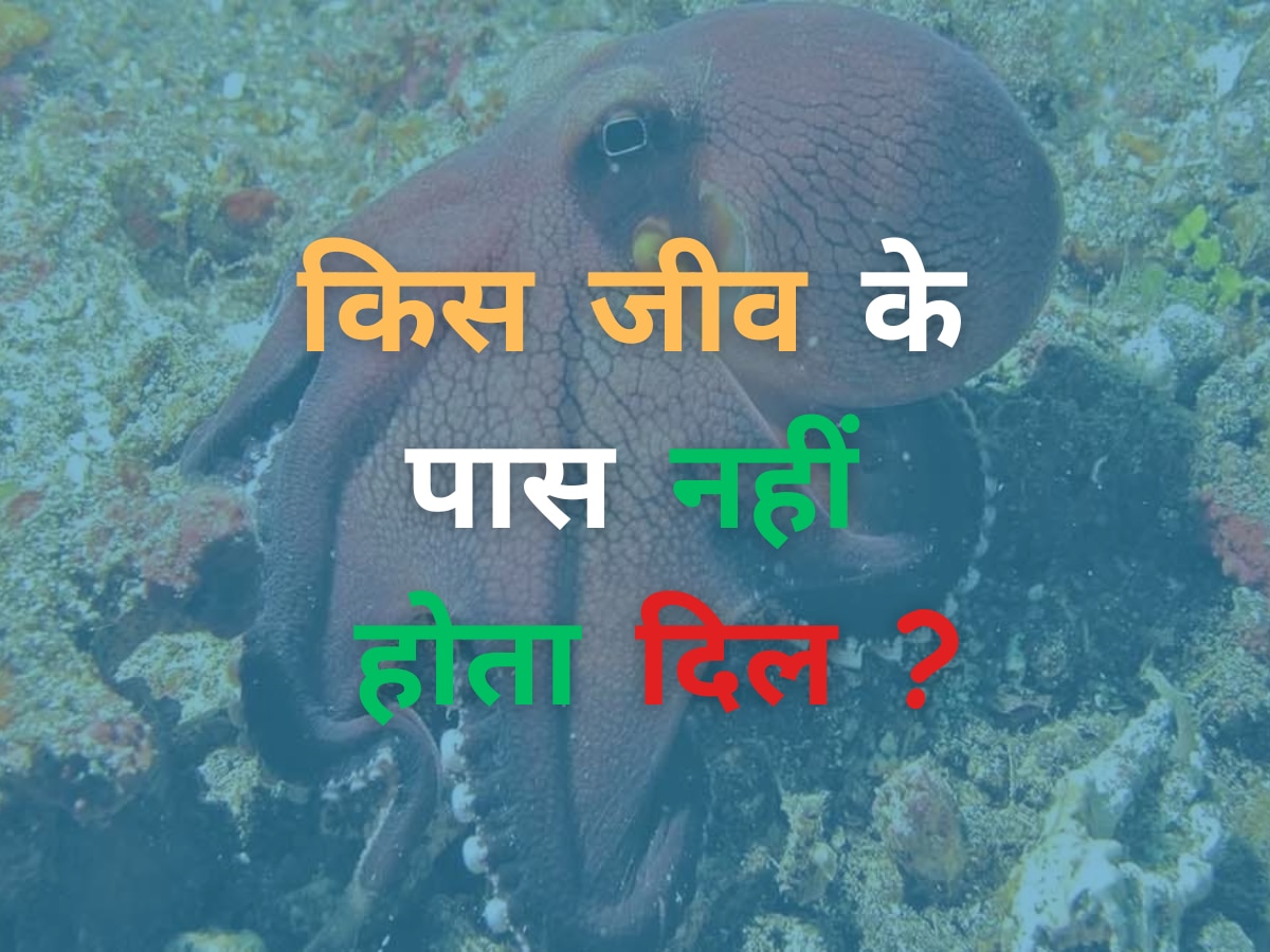 Trending Quiz: जानिए, किस जीव के पास नहीं होता दिल ?