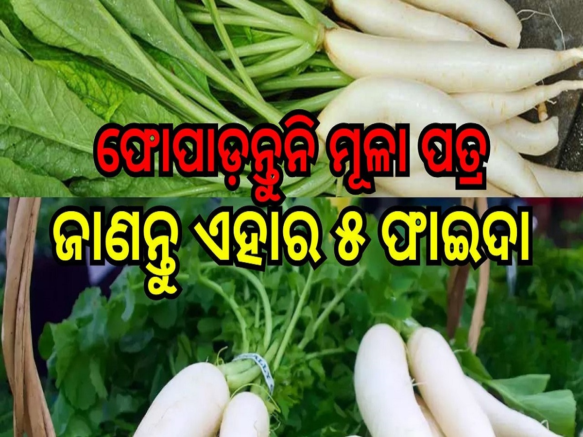 Radish Leaves Benefits: ମୂଳା ପତ୍ରରେ ରହିଛି ଭରପୂର ପୋଷଣ, ଭଲ କରିଥାଏ ଏହି ସବୁ ରୋଗ....