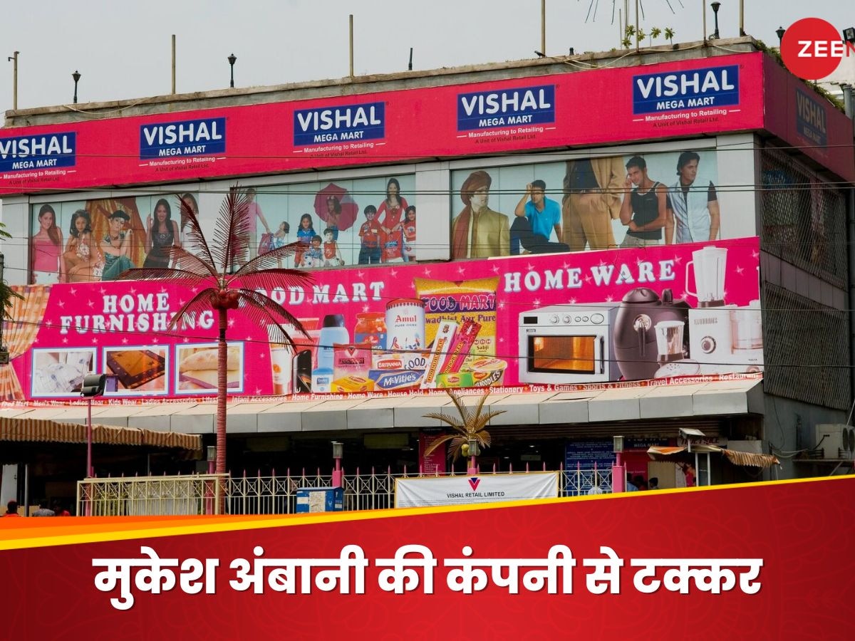 इस दिन ओपन होगा Vishal Mega Mart का IPO, 8000 करोड़ रुपये जुटाने का लक्ष्य; जानिए जरूरी डिटेल्स