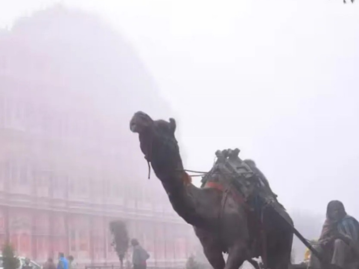 Rajasthan Weather Update: राजस्थान में बढ़ा सर्दी का सितम, धड़ाम से गिरा पारा, IMD ने जारी किया अलर्ट