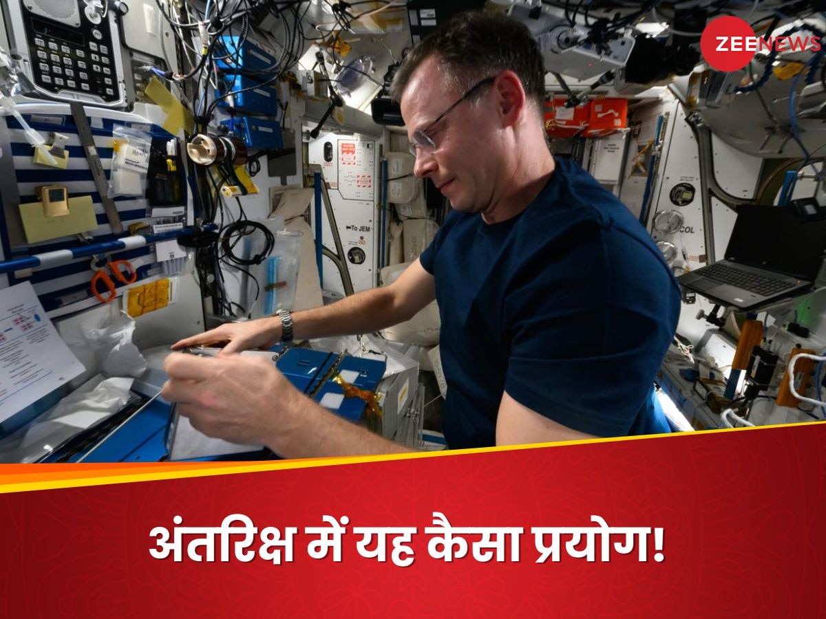 स्पेस स्टेशन पर 'काई' क्यों उगा रहे एस्ट्रोनॉट? NASA की फ्यूचर प्लानिंग जानकर दंग रह जाएंगे