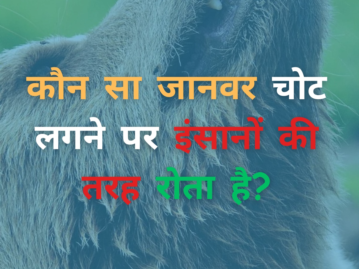 Trending Quiz: जानिए, कौन सा जानवर चोट लगने पर इंसानों की तरह रोता है?