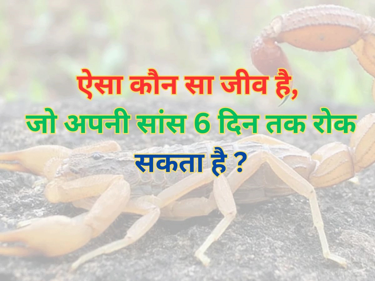 Trending Quiz: ऐसा कौन सा जीव है, जो अपनी सांस 6 दिन तक रोक सकता है?