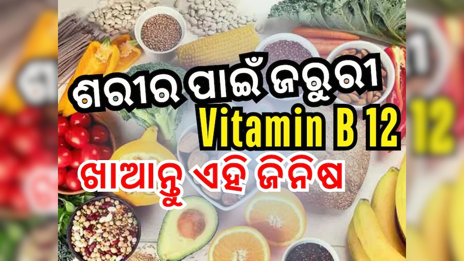 Vitamin B12 Foods: ଖାଆନ୍ତୁ ଏହି ୫ଟି ଜିନିଷ, ଶରୀରରେ ରହିବନି ଭିଟାମିନ୍ ବି ୧୨ ଅଭାବ