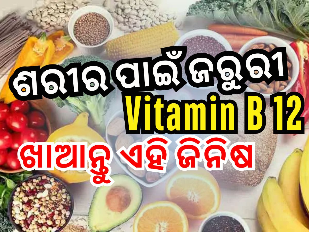 Vitamin B12 Foods: ଖାଆନ୍ତୁ ଏହି ୫ଟି ଜିନିଷ, ଶରୀରରେ ରହିବନି ଭିଟାମିନ୍ ବି ୧୨ ଅଭାବ Vitamin B12 Foods: ଖାଆନ୍ତୁ ଏହି ୫ଟି ଜିନିଷ, ଶରୀରରେ ରହିବନି ଭିଟାମିନ୍ ବି ୧୨ ଅଭାବ