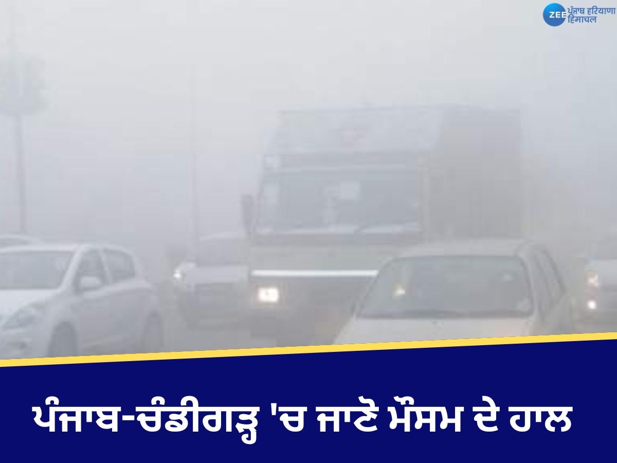 Weather Update: ਪੰਜਾਬ ਦੇ 7 ਜ਼ਿਲ੍ਹਿਆਂ 'ਚ ਧੁੰਦ ਦਾ ਅਲਰਟ! ਇਸ ਦਿਨ ਪਵੇਗਾ ਮੀਂਹ, ਜਾਣੋ ਆਪਣੇ ਸ਼ਹਿਰ ਦਾ ਹਾਲ 