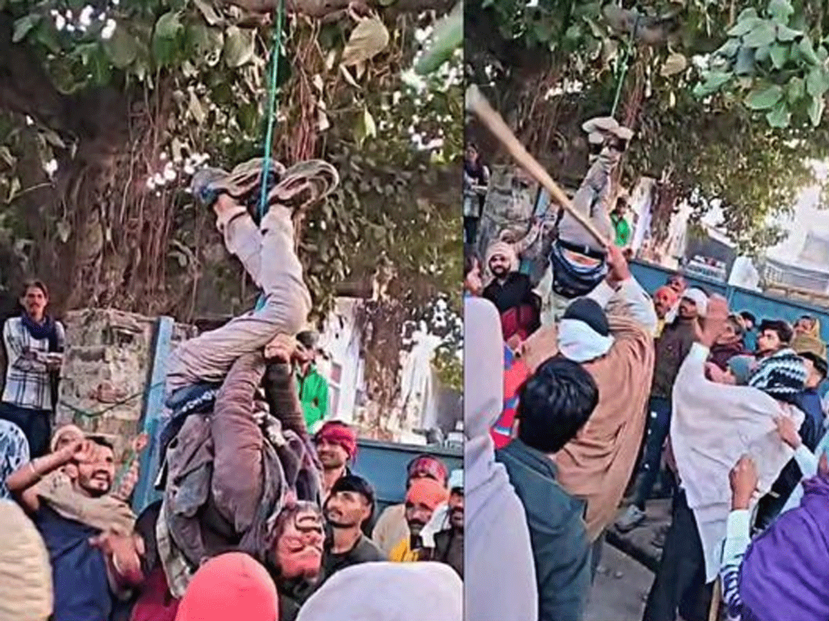 Rajasthan Crime: बूंदी में दी गई तालिबानी सजा! पेड़ से युवक को लटकाया उल्टा, फिर की पिटाई Rajasthan Crime: बूंदी में दी गई तालिबानी सजा! पेड़ से युवक को लटकाया उल्टा, फिर की पिटाई